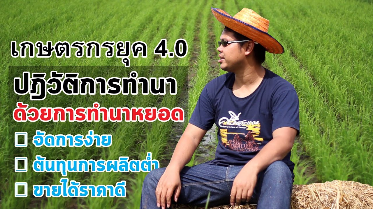 เกษตรกรยุค 4.0 ทำนาหยอด จัดการง่าย ต้นทุนการผลิตต่ำ ขายได้ราคาดี