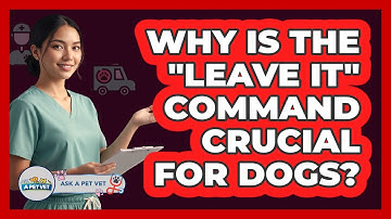 Why Is The "Leave It" Command Crucial For Dogs?