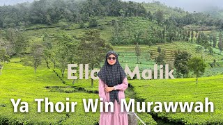 YA THOIR WIN MURAWWAH (Versi Al Madaniyah) Cover Ella Malik