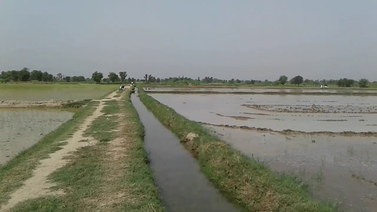 Agriculture machine in pakistan YouTube