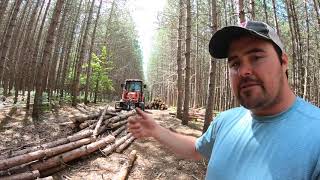 Kioti Tractor Moving Logs with HLA Root Rake Grapple