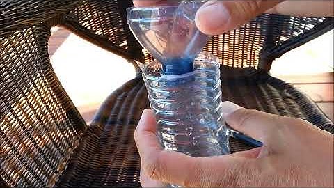 How To Trap Hornets, Yellow Jacket Bees, Wasps with empty plastic bottle (DIY)