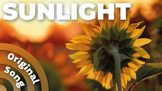 Raymusique | Sunlight (Official Lyric Video)