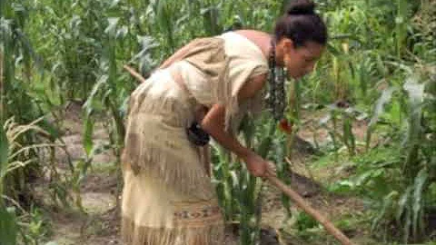 Ojibwe Word of the Day Gitige-giizis. ᑭᑎᑫ ᑮᓯᔅ᙮  'June. Literally: The Gardening Moon'