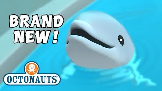 ​@Octonauts - The Baby Dolphin | Full Episode 8 | @OctonautsandFriends