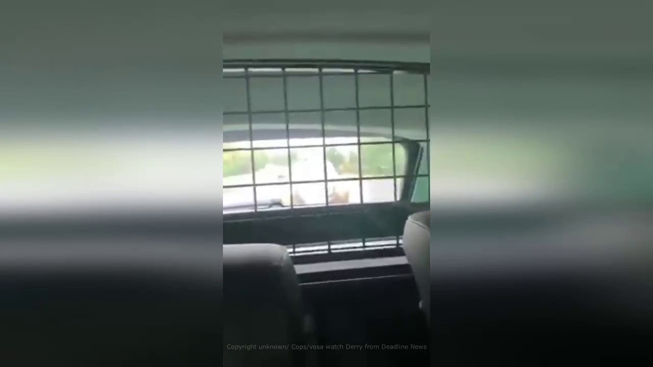 Dramatic video shows moment police car is repeatedly rammed by motorist ...