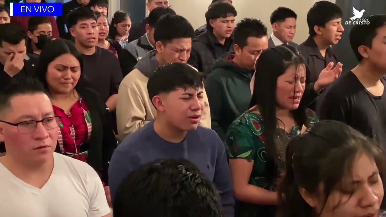 La Gran Tribulación.  GM Jesús Mi Buen Pastor