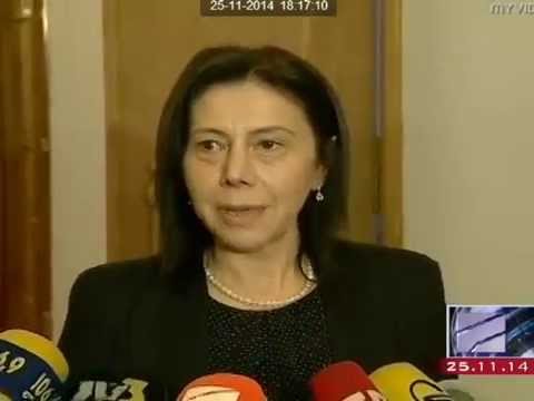 ნინო გოგუაძის კომენტარი