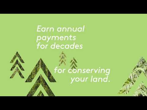 Your forest is a land of growing opportunity. - video from Forest Carbon Works