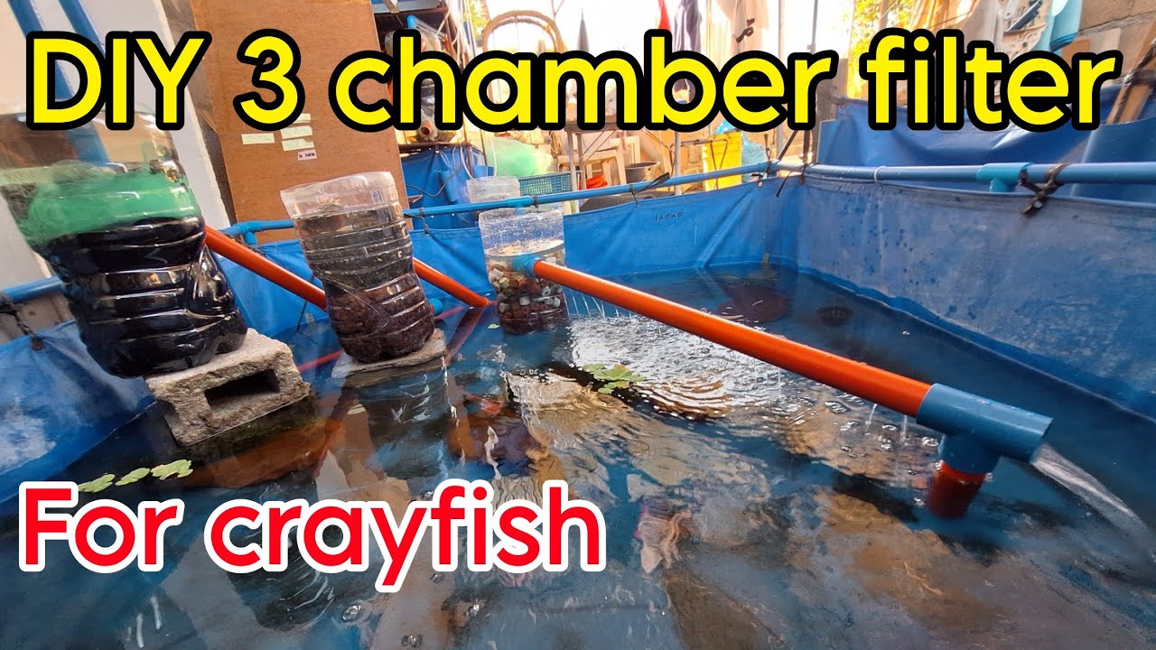 DIY 3 CHAMBER FILTRATION | DIY FILTER FOR CRAYFISH POND