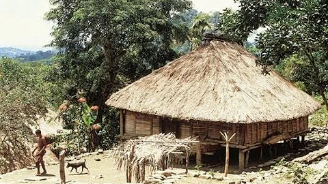 Cognates, Calques and False Friends