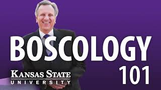Boscology 101 - #26 - Vision