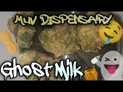 #105 Ghost Milk (Official Product Video Review)Muv Dispensary Product
