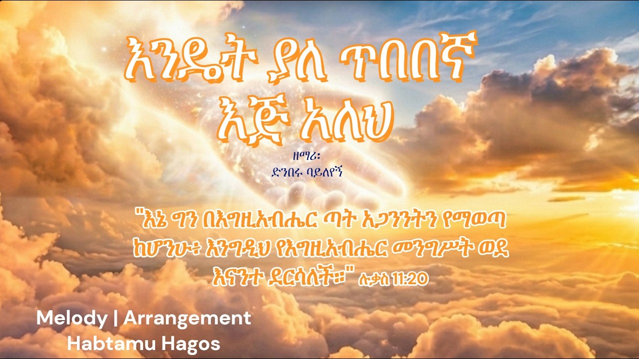Denberu Bayleyegn | ድንበሩ ባይለየኝ  - Instrumental