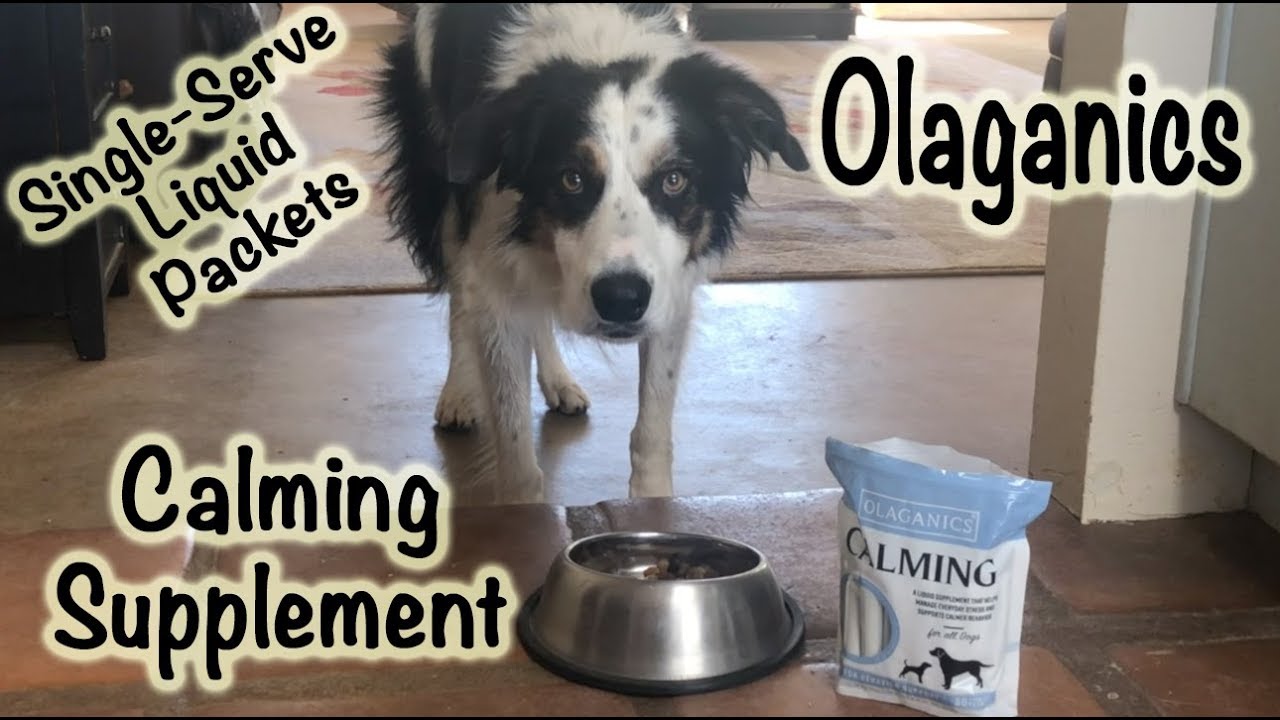 Olaganics Calming Supplement - Easy single serve packets