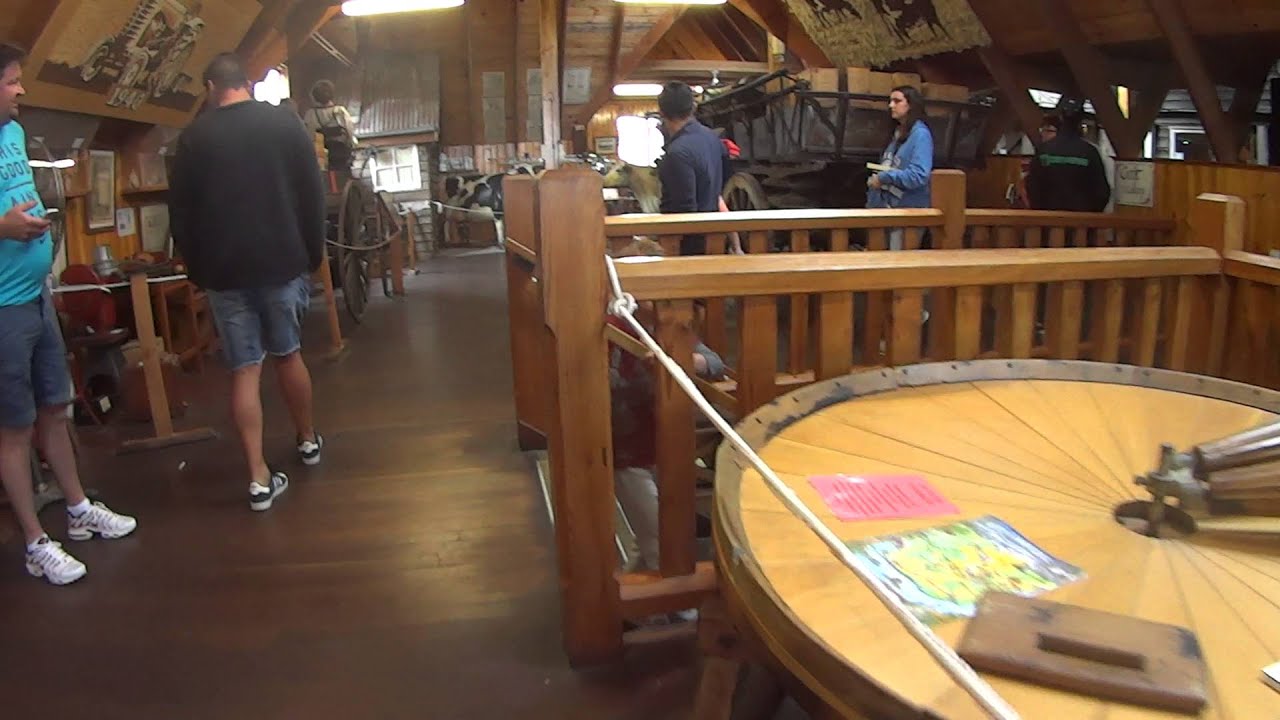 Bega Cheese factory YouTube