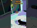 Chase Fails With the Wildest Endings