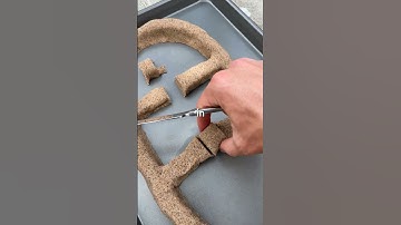 Thumbnail of Building a Mansion for Bugs
