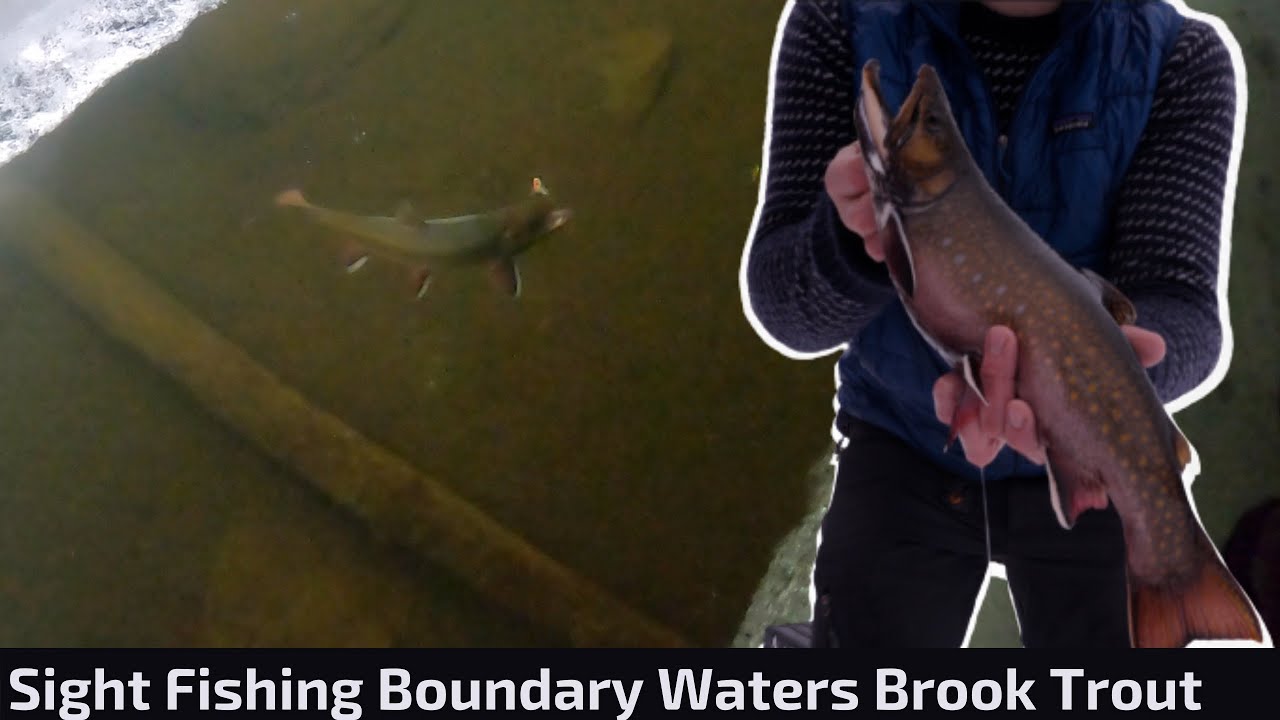 Boundary Waters Trout Fishing Opener 2021: Sight Fishing Brook Trout