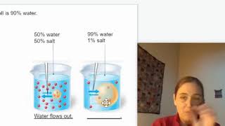 NOTES 07 04 Osmosis