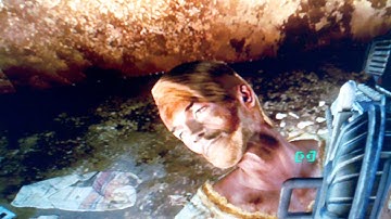 Fallout 3 Blinking Glitch