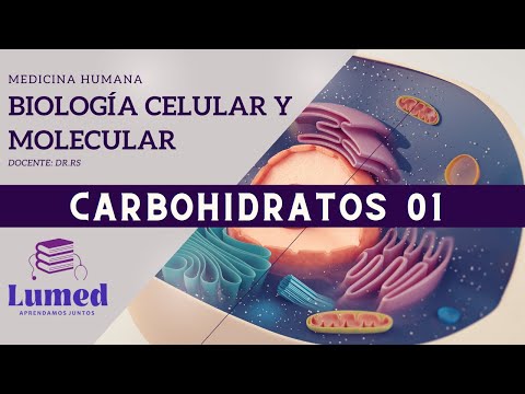 Biología Celular y Molecular - Carbohidratos 01