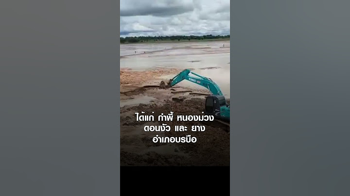 เตือน มหาสารคามวิกฤต อ่างเก็บน้ำแตก มวลน้ำทะลักจ่อ "ร้อยเอ็ด" | TNN ข่าวค่ำ | 17 ก.ค.  67