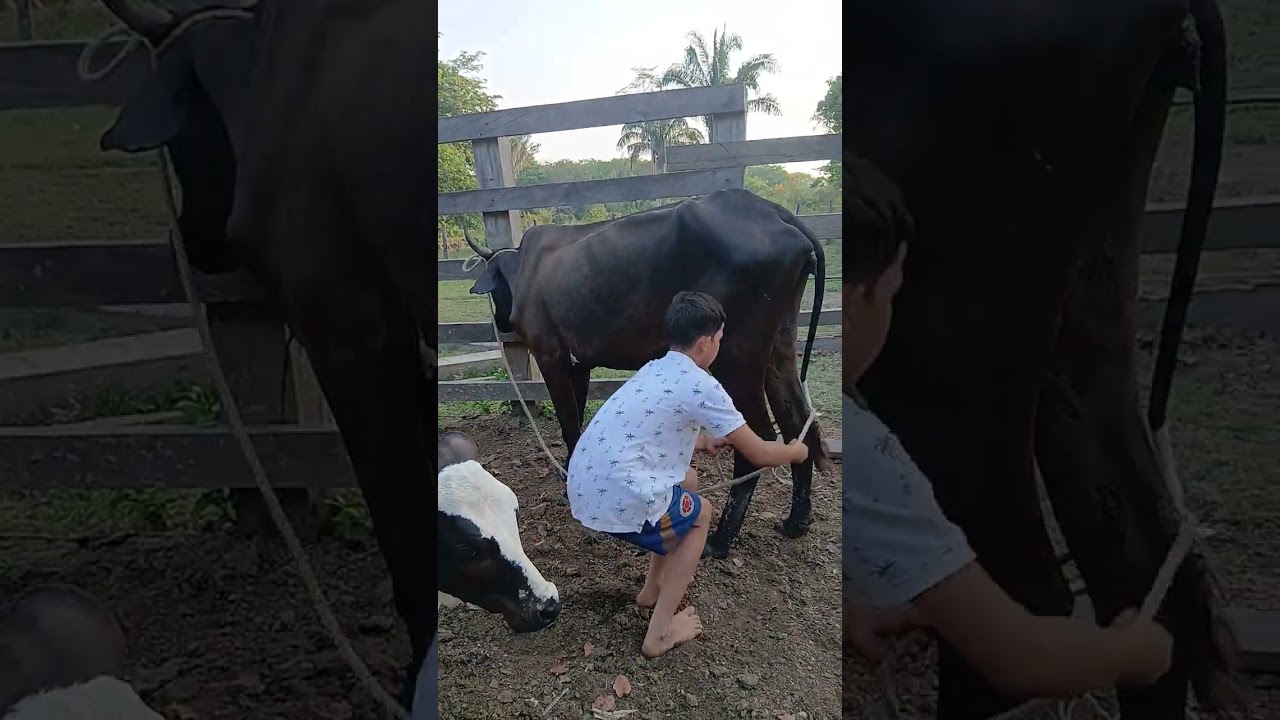 A si me fue mi primera vez @filmigaane 