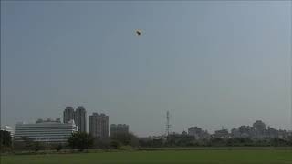 Flytest 45Deg 20190313