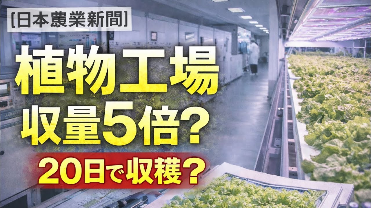 Japan Agricultural News] Rapid expansion of plant factories: Can