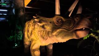 Dino Days In Sm City Cebu