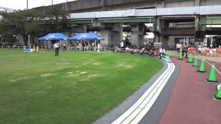 1030713 4日本大宮鐵道博物館坐上小小新幹線出發嚕! 1