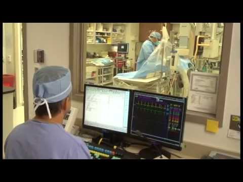 henry mayo newhall biography