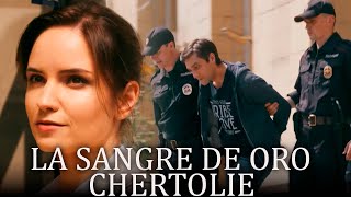 Download Lagu LA SANGRE DE ORO. CHERTOLIE 1-2  Mujer detective revela secretos MP3 Download Lagu LA SANGRE DE ORO. CHERTOLIE 1-2  Mujer detective revela secretos MP3