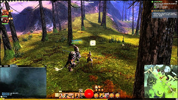 Guild Wars 2 Warhorn Sound Bug