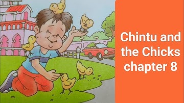 Chintu and the chicks ||  Chapter 8 || English Reader || Class 1|| DAV