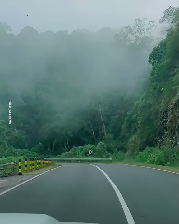 story wa yowes dada sayang dewe wes ra dadi siji