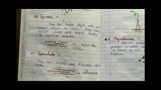 Microbiology notes bacteria Easy to understand