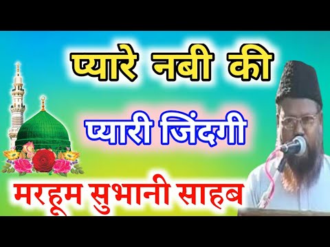 Pyare Nabi Ki Pyari Jindagi Ghulam Mohiuddin Subhani Sahab Takrir