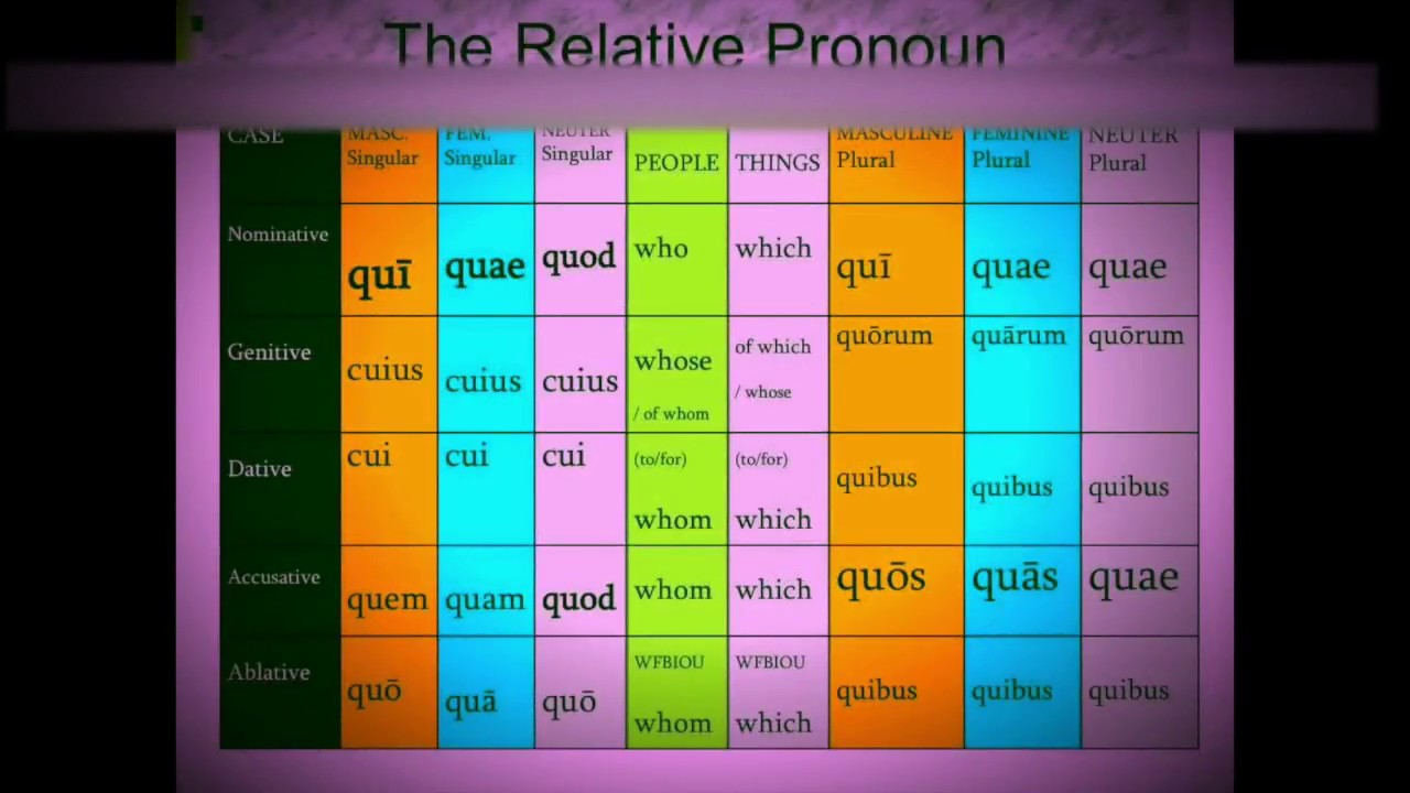 remix-relative-pronoun-song-in-latin-by-venividivici-videos-youtube