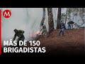 Continúan activos 4 incendios forestales en Valle de Bravo; despliegan brigadistas para combatirlos