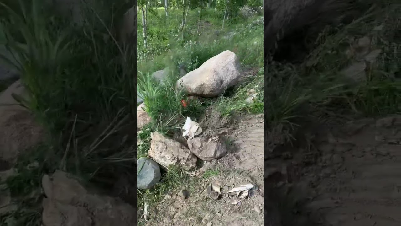 LARGE Scale Pond Waterfall Build! Stay tuned to see it take shape! 