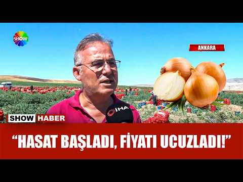 Onion prices are falling!
