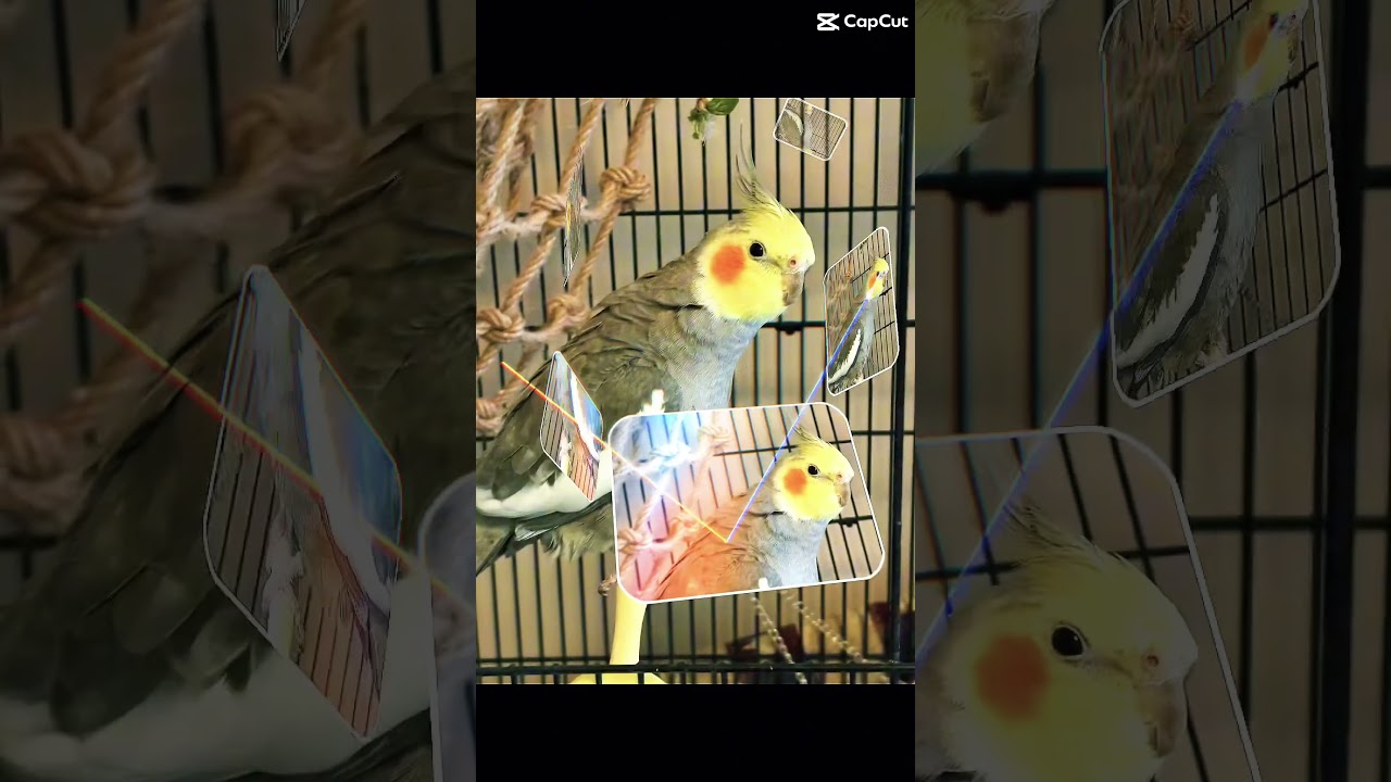 Sooooo cooolllllllll