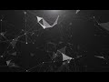 Tobu - Faster NCS Release - NEW MUSIC 2024 Lyrics Video