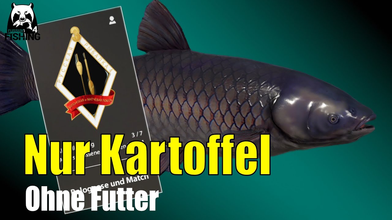 Russian Fishing 4 - Alte Festung - Amure mit Einfachen Ködern ohne Futter 