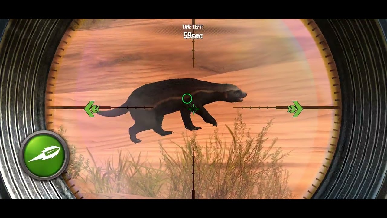 Hunting Clash 🐦 🌎 17, Game Play!