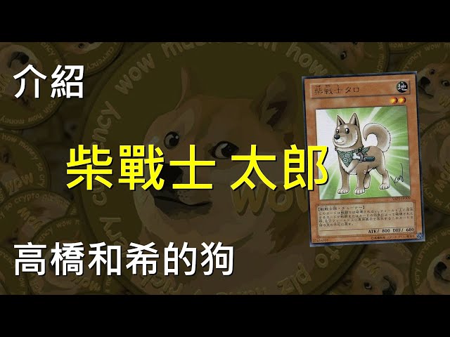 [ 遊戲王 ] 柴戰士太郎 不可以色色 Shiba-Warrior