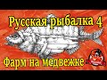 Русская рыбалка 4. Супер фарм. оз.Медвежье