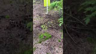 Swxc 2023 Round 2 A And B Line Entrances.